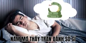 Nằm Mơ Thấy Con Trăn Đánh Số Gì 2 Anh Thumb bai viet 1