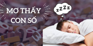 Nằm Mơ Thấy Nhiều Con Số Đánh Con Gì: Hướng Dẫn Chọn Số May Mắn 11 Anh Thumb bai viet