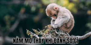 Nằm Mơ Thấy Khỉ Đánh Số Gì: Hãy Khám Phá Những Bí Ẩn Ngọt Ngào 4 Anh Thumb bai viet min1 2