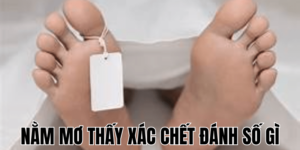 Anh Thumb bai viet min1 8