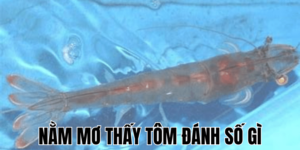 Nằm Mơ Thấy Tôm Đánh Số Gì 5 Anh Thumb bai viet min2 1