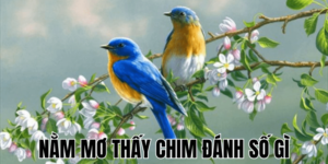 Anh Thumb bai viet 1 min1 10