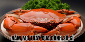 Nằm Mơ Thấy Cua Đánh Số Gì: Ý Nghĩa Và Cách Chọn Số Xổ Số 6 Nằm Mơ Thấy Chìm Xuồng Đánh Số Gì