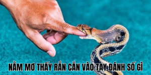 Anh Thumb bai viet 1 min1 8