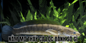 Anh Thumb bai viet 2 min1 10