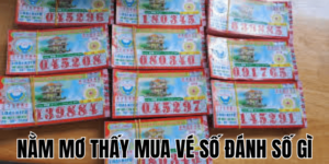 Anh Thumb bai viet 2 min1 11