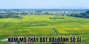 Nằm Mơ Thấy Đất Đai Đánh Số Gì 23 Anh Thumb bai viet 2 min1 12