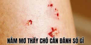 Nằm Mơ Thấy Chó Cắn Đánh Số Gì 8 Anh Thumb bai viet 2 min1 16
