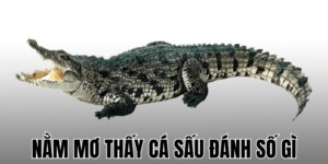 Anh Thumb bai viet 2 min1 18