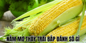 Anh Thumb bai viet 2 min1 26