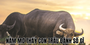 Anh Thumb bai viet 2 min1 28