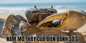 Nằm Mơ Thấy Cua Biển Đánh Số Gì: Ý Nghĩa Và Con Số May Mắn 3 Anh Thumb bai viet 2 min1 3