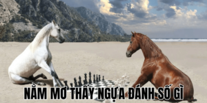 Anh Thumb bai viet 2 min1 6