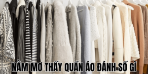 Anh Thumb bai viet 2 min1 8