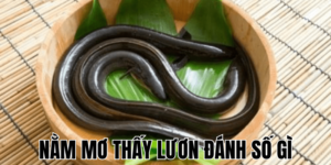 Nằm Mơ Thấy Bắt Lươn Đánh Số Gì 18 Anh Thumb bai viet 2 min1 9