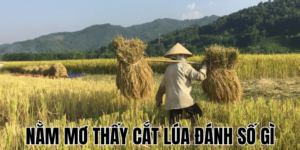 Anh Thumb bai viet 2 min2