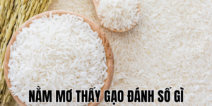 Anh Thumb bai viet 3 min1 13