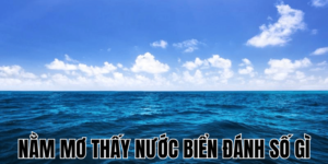 Giải Mã: Nằm Mơ Thấy Nước Biển Đánh Số Gì? 4 Nằm Mơ Thấy Con Dơi Đánh Số Gì: Ý Nghĩa Và Số May Mắn