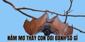 Anh Thumb bai viet 3 min1 15