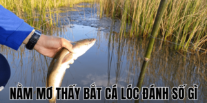 Anh Thumb bai viet 3 min1 4