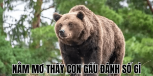 Anh Thumb bai viet 3 min1 6