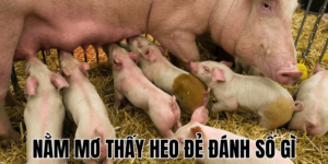 Anh Thumb bai viet 3 min2