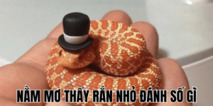 Anh Thumb bai viet 4 min1