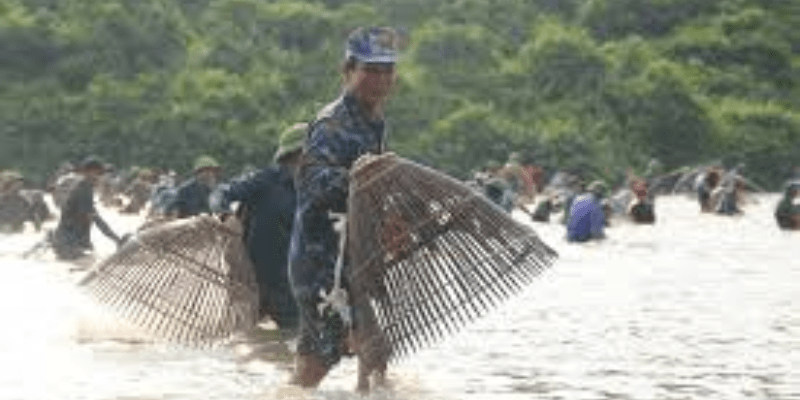 Nằm Mơ Thấy Bắt Cá Đánh Số Gì: Bảng Giải Mã Số Đề Chi Tiết 2025 2 Bảng giải mã nằm mơ thấy bắt cá đánh số gì chính xác