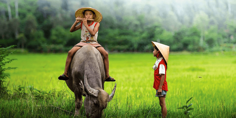 Nằm Mơ Thấy Con Trâu Đánh Số Gì: Ý Nghĩa Và Số May Mắn 3 Anh trong bai 2 min1 36