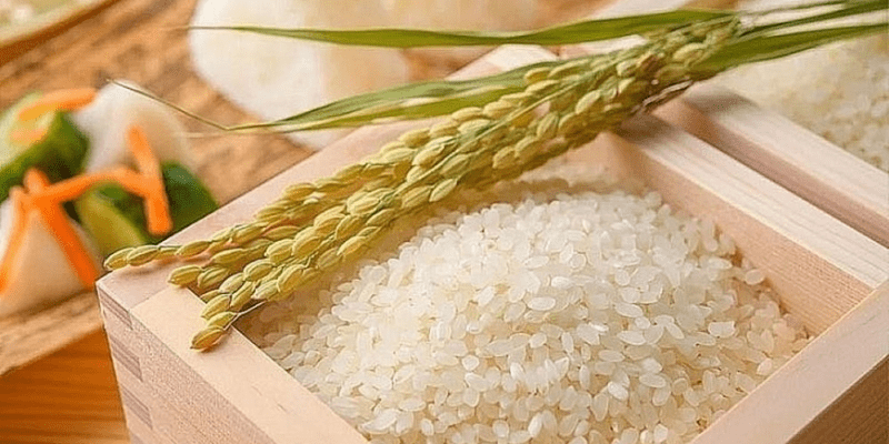 Nằm Mơ Thấy Gạo Đánh Số Gì: Từ Tín Ngưỡng Dân Gian Đến Góc Nhìn Hiện Đại Về Giải Mã Giấc Mơ 1 Giải mã ý nghĩa nằm mơ thấy gạo đánh số gì