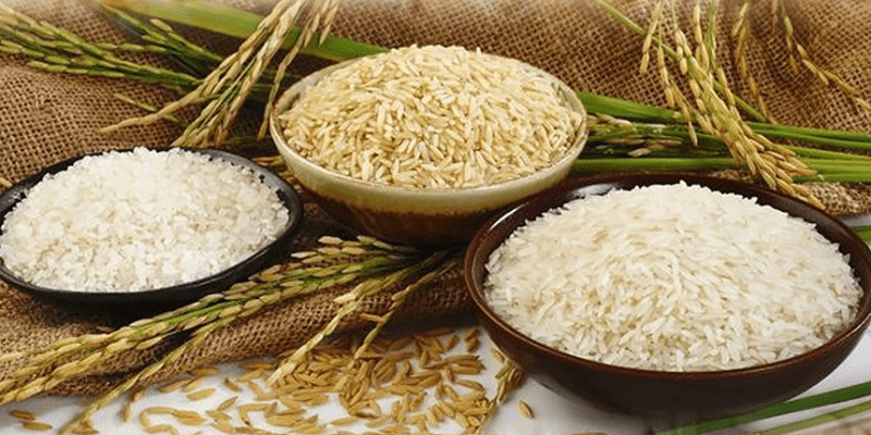 Nằm Mơ Thấy Gạo Đánh Số Gì: Từ Tín Ngưỡng Dân Gian Đến Góc Nhìn Hiện Đại Về Giải Mã Giấc Mơ 3 jobdekh.com 2 min2 2