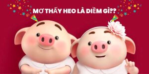 nam mo thay heo danh so gi giai ma giac mo va thu van may 377 443